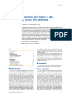 Anatomía Quirúrgica y Vías de Acceso Del abdomenZXCVXZCVX