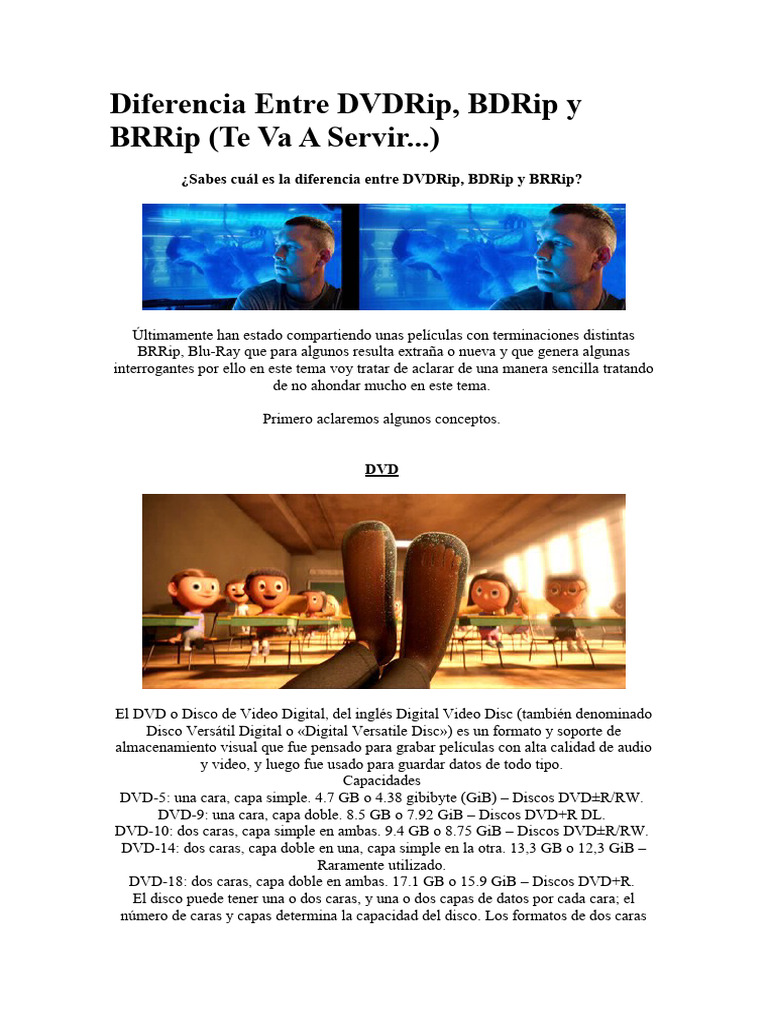 Diferencia Entre DVDRip, BDRip y BRRip PDF Blu Ray DVD