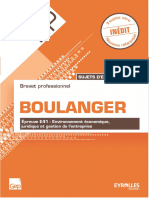 BP Boulanger Sujets Dentraînement, Épreuve E41 - Environnement Économique, Juridique Et Gestion de Lentreprise (Didier Meyer, Hervé Meyer)