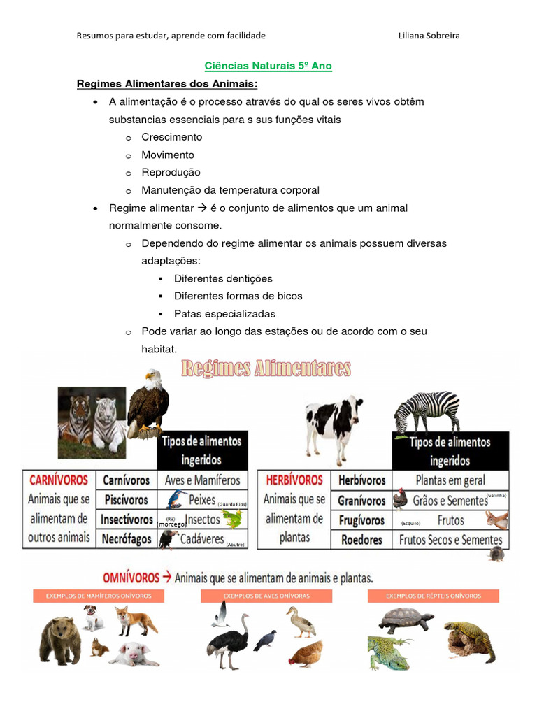Regimes Alimentares dos Animais 5º Ano | PDF | Dente | Predação