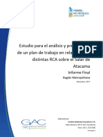EstudioLevantamiento RCA Salar Atacama Informe Final