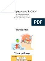 3-Visual Pathways & OKN