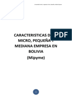 Caracteristifcas de La Mipyme Bolivia