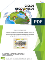 Ciclos Biogeoquímicos