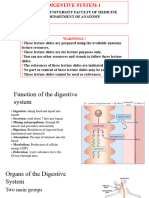  Digestive System