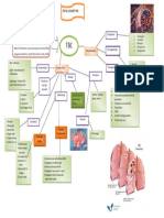 Mind Map TB Paru