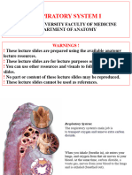 Respiratory System