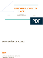 Tema 4 - Definitiu - Nutrició I Relació en Les Plantes - 2023-24