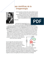 Bases Científicas de La Imagenología