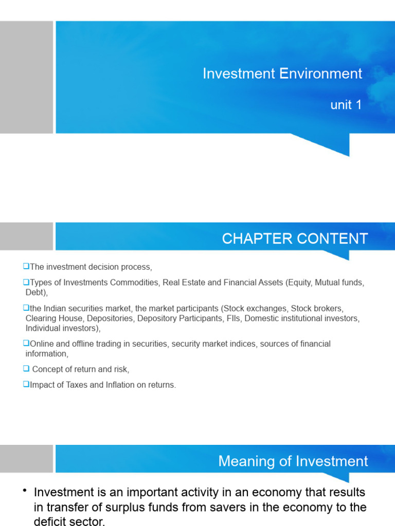 Investment Environment | PDF