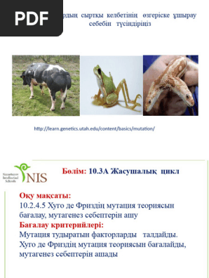 Топтық лицейдің порно фотосуреттері