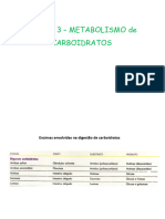 Unidade 3 Catabolismo de Carbo Digestão e Absorçao Novo