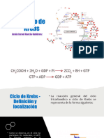 Ciclo de Krebs