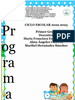 1° Programa Análitico