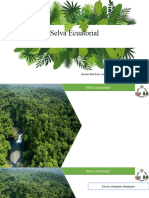 Selva Ecuatorial