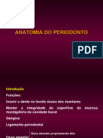 Anatomia Do Periodonto