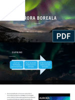 Aurora Boreală