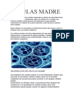 Celulas Madre PDF