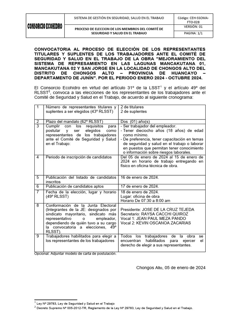 7.2-Formato-2 Convocatoria CSST | PDF | Gobernancia | Responsabilidad