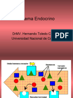 Sistema Endocrino Síntesis General