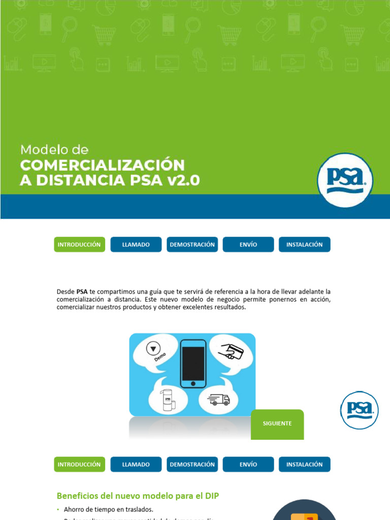 Guía PSA para Comercialización a Distancia | PDF | Informática