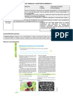 Guía de Trabajo Semana 4 y 5