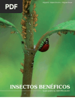 Download INSECTOS_BENEFICOS by Solangel Laya SN70691679 doc pdf