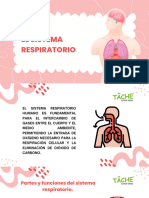 El Sistema Respiratorio