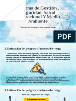 Estimación de Peligros y Factores de Riesgo - Paola Ramirez