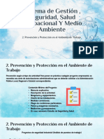 Prevención y Protección en El Ambiente de Trabajo - Paola Ramirez