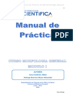 Guía para Manual de Morfo General 2024-0