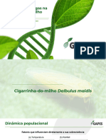 Resultados Cigarrinha - Cropchem