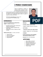 Cv-Pablo Perez Chanchari