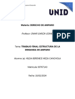 Estructura Demanda de Amparo. Trabajo Final