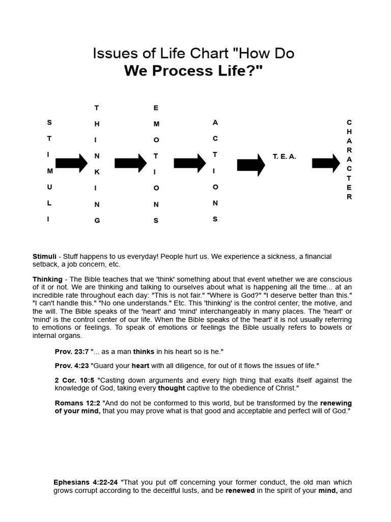 Life Processing: Stimuli to Character | PDF | Feeling | Emotions
