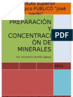 Preparacion y Concentracion de Minerales