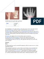 Machine visual data 8