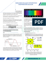 Semianual Biologia Tema 5