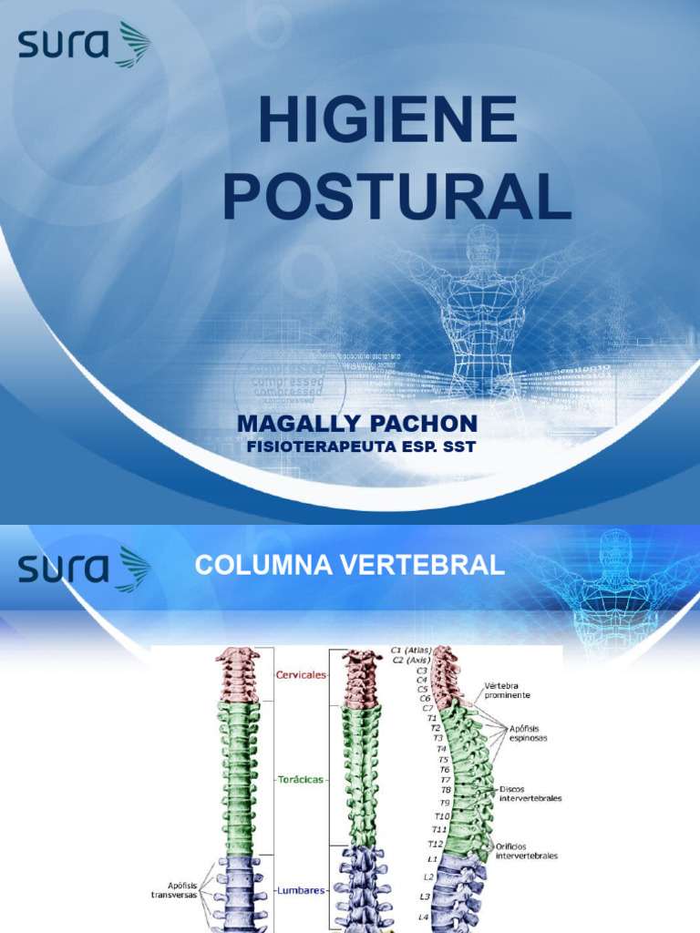 Higiene Postural para la Columna | PDF