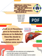 Cetoacidosis Diabetica 