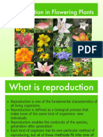 Reproduction in Flowering Plants 2020