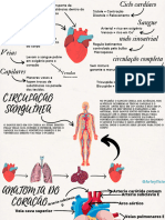 Resumos Do Sistema Cardiovascular