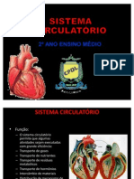 sistema cardiaco