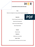 Informe de Dixciana