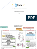 Accede A Apuntes, Guías, Libros y Más de Tu Carrera: Accidente Cerebro Vascular (Acv) 1 Pag