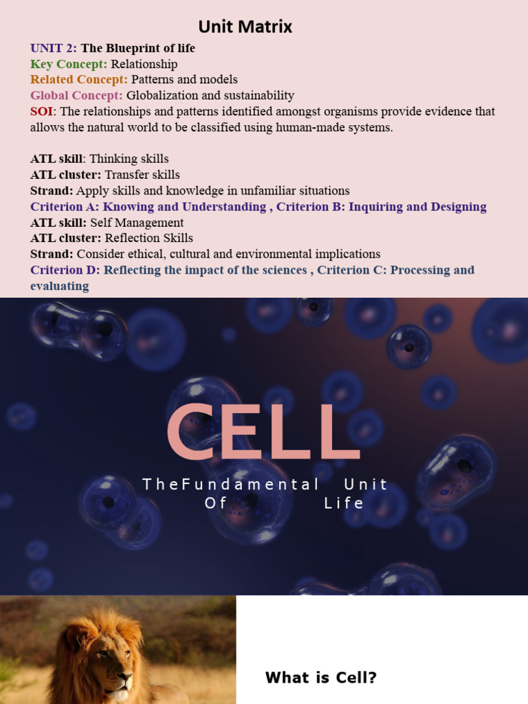 Cell Structure and Functions | Download Free PDF | Endoplasmic ...