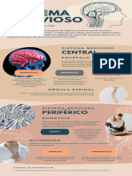 Infografia Sistema Nervioso Anatomico Azul Beige