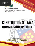 COMMISSION ON AUDIT Final Paper