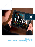 Equest Big Data Whitepaper Hrs Golden Opportunity