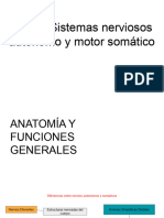 Cap. 8 Neurotransmisor 